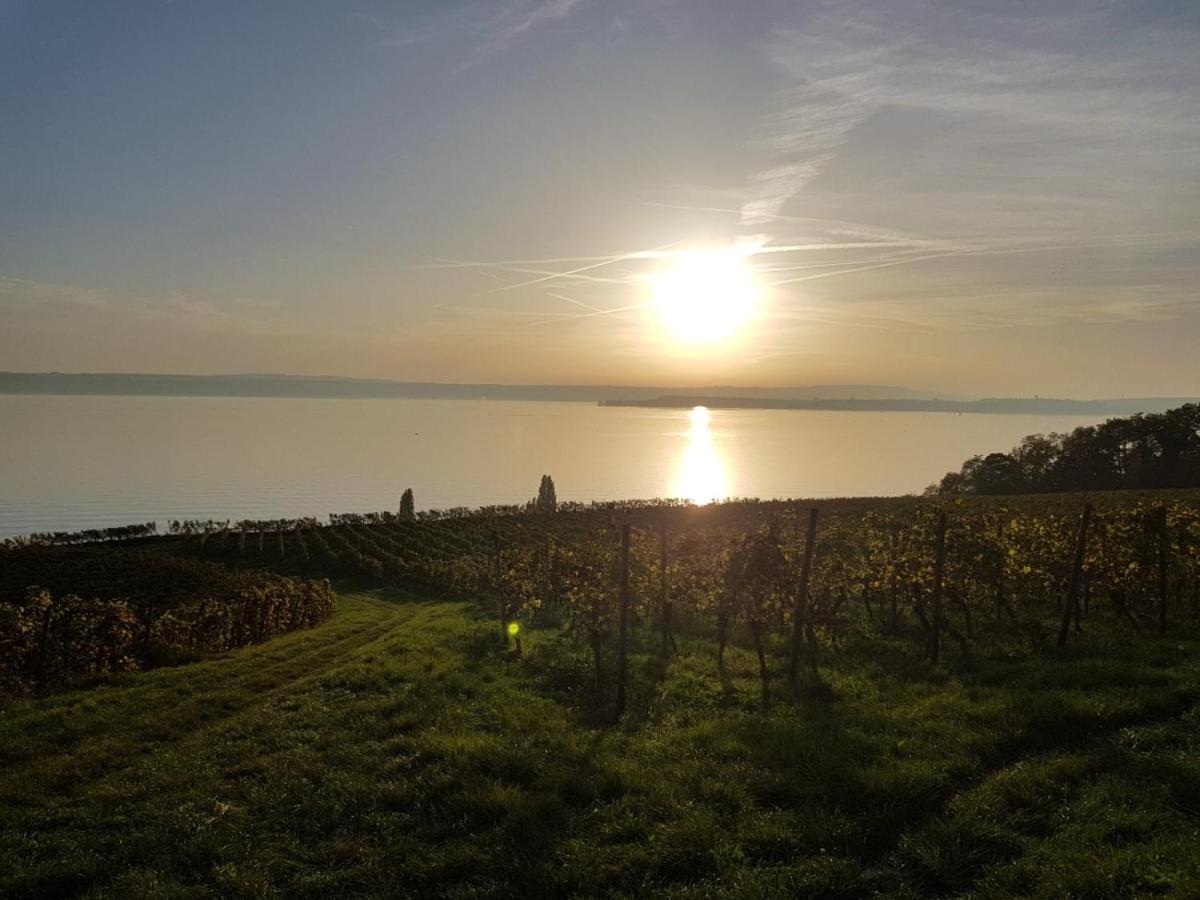 Schoene Stadtwohnung In Friedrichshafen Am Bodensee Экстерьер фото